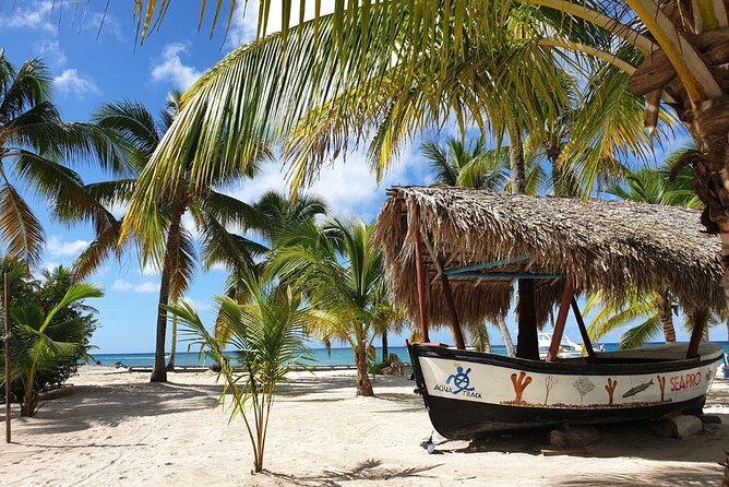 Explore Saona Island from Punta Cana Beaches Nature and Party - Who Will Love This Tour?