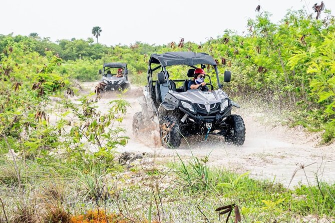 Bugguies in Punta Cana - In-Depth Look at the Buggy Tour Experience