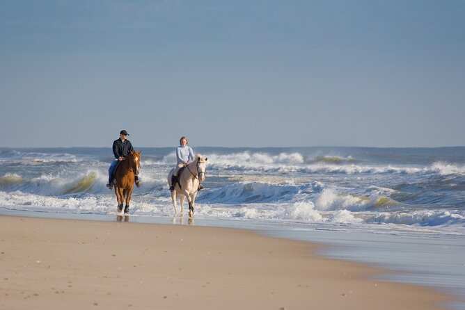 Horseback riding in Punta Cana - Final Thoughts: Who Should Consider This Tour