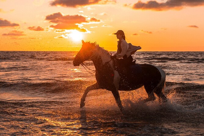 Horseback riding in Punta Cana - Key Points