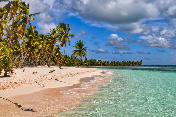 Saona Paradise Island : Catamaran, Natural Pool and Typical Lunch - An Introduction to Saona Island Tours