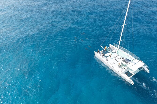 Saona Paradise Island : Catamaran, Natural Pool and Typical Lunch - The Itinerary Breakdown: What to Expect