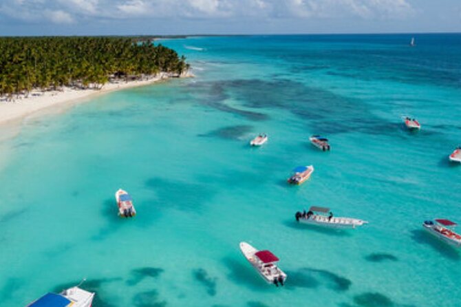 Saona Paradise Island : Catamaran, Natural Pool and Typical Lunch - The Sum Up