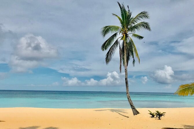 Saona Paradise Island : Catamaran, Natural Pool and Typical Lunch - What Do Travelers Say?
