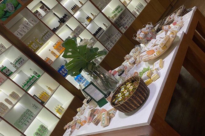 Punta Cana Shopping Tour Local Markets and Souvenirs - Who Should Book This Tour?