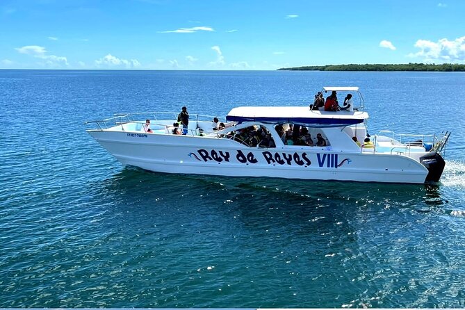 Dominican 3-Day Tour: Saona, Buggy & Santo Domingo - Who Will Love This Tour?  