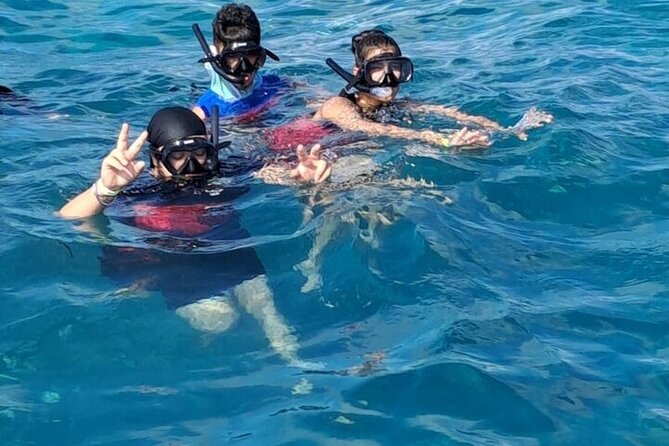 Catalina Island Tour with Lunch and Transportation Included - Practical Details and Considerations