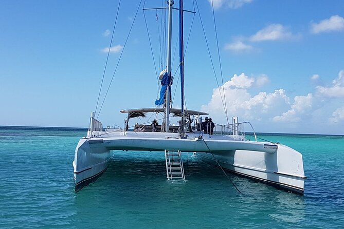 Catalina Island Tour with Lunch and Transportation Included - Frequently Asked Questions