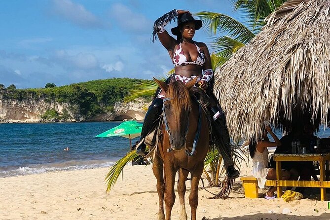 Buggy Horses and Zip Line from Punta Cana with Lunch Included - Final Thoughts