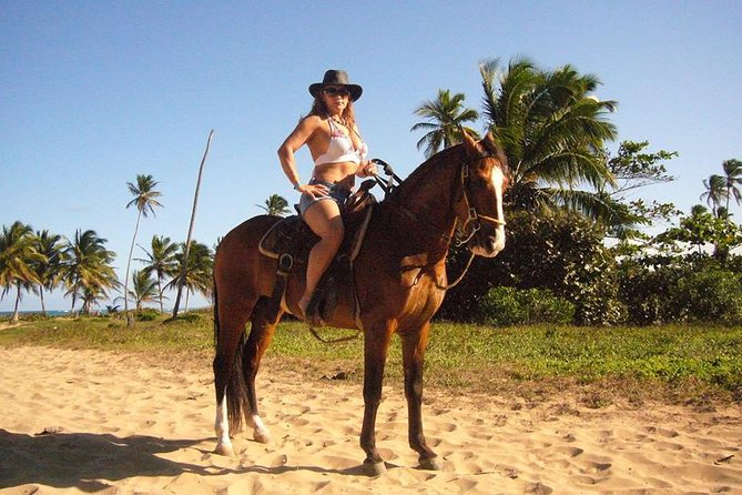Horseback Riding Tour Adventure on the Beach - Value and Cost: Is it Worth It?