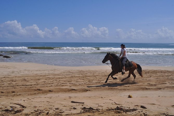 Horseback Riding Tour Adventure on the Beach - Final Thoughts: Is This Tour for You?
