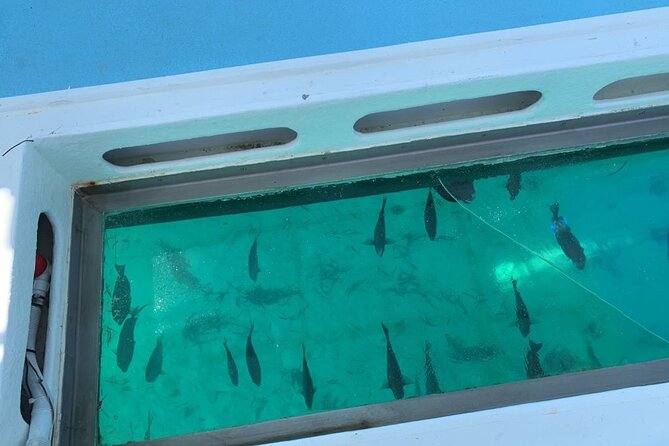 GlassBottom Catamaran with Slide - Final Thoughts: Is It Worth Your Time?