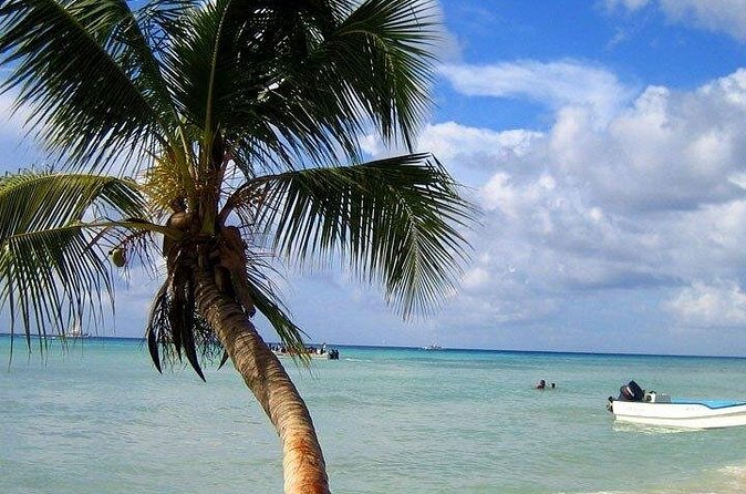 Saona Island Tour by Catamaran & Speedboat  Punta Cana - The Return: Catamaran with Music and Dancing