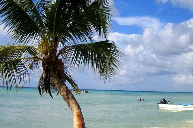 Saona Island Tour by Catamaran & Speedboat Punta Cana - The Journey Begins: From Hotel to Bayahibe