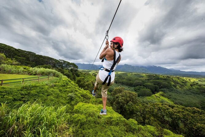 Zipline Adventure in Punta Cana  Thrilling Canopy Experience - The Sum Up