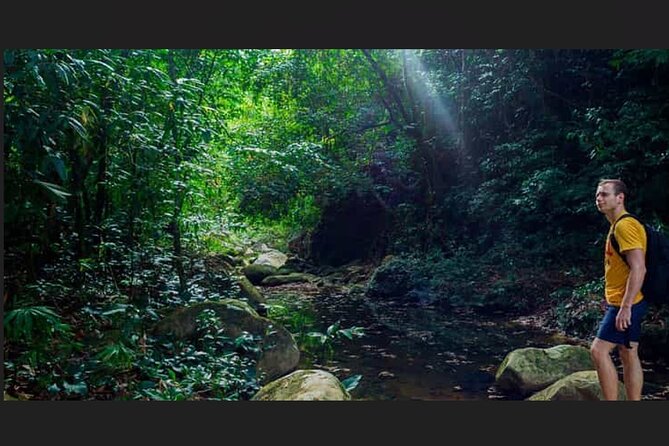 Punta Cana: Los Haitises Hike & Kayaking Mangroves - Who Should Consider This Tour?