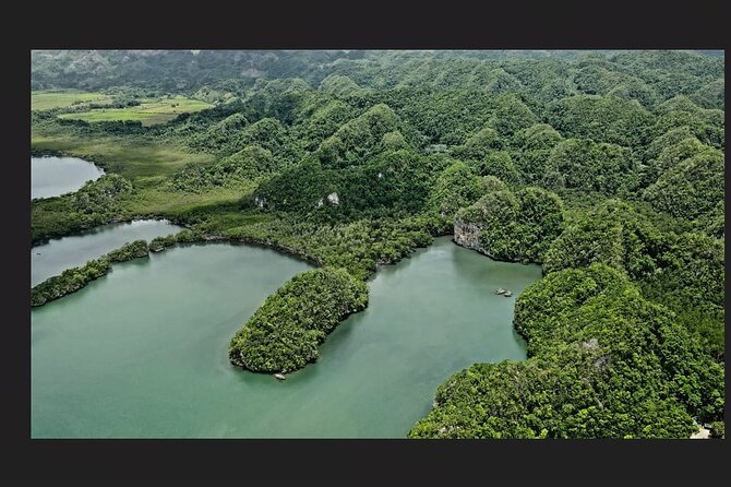 Punta Cana: Los Haitises Hike & Kayaking Mangroves - A Deep Dive into the Experience