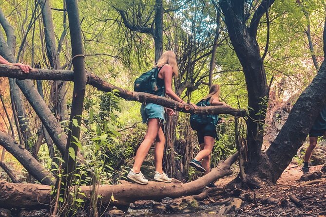 Punta Cana: Los Haitises Hike & Kayaking Mangroves - Exploring the Punta Cana: Los Haitises Hike & Kayaking Mangroves Tour