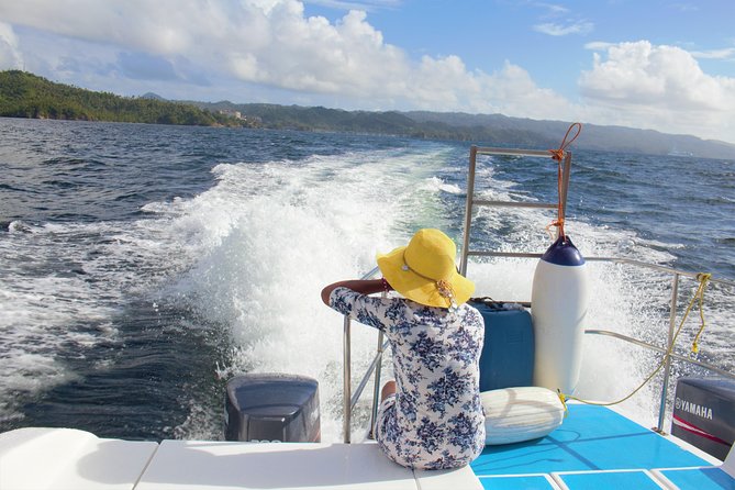 Samana Tours (With Whales) Full Day Excursion! All inclusive Tour! - The Sum Up