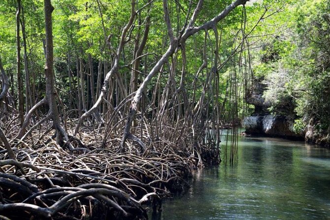 Los Haitises N. Park, Yanigua Waterfall & Montaña Redonda Tour - Frequently Asked Questions