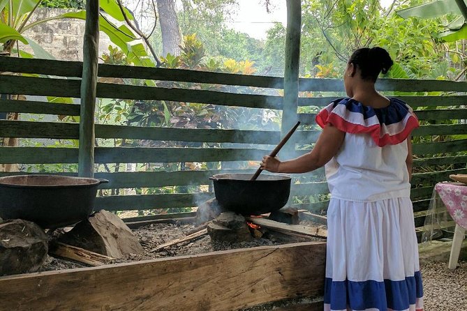 Jungle Buggies and Monkeyland from Punta Cana - FAQs