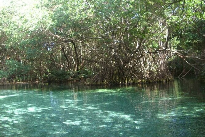 Occidental Grand Punta Cana - Round Trip Shuttle - Punta Cana Airport - Detailed Breakdown of the Service