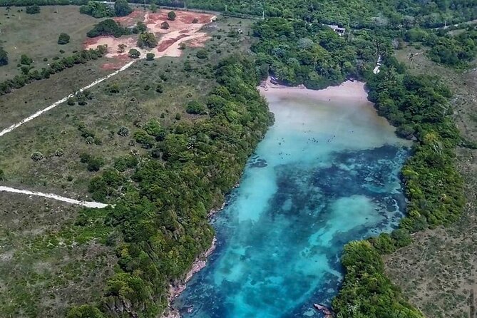 Occidental Grand Punta Cana - Round Trip Shuttle - Punta Cana Airport - FAQ