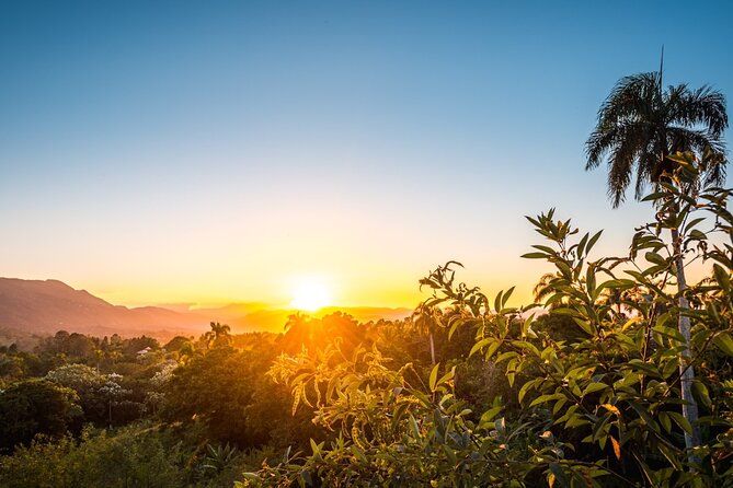 Garden Suites by Melia - Round Trip Shuttle - Punta Cana Airport - Why Choose This Service?