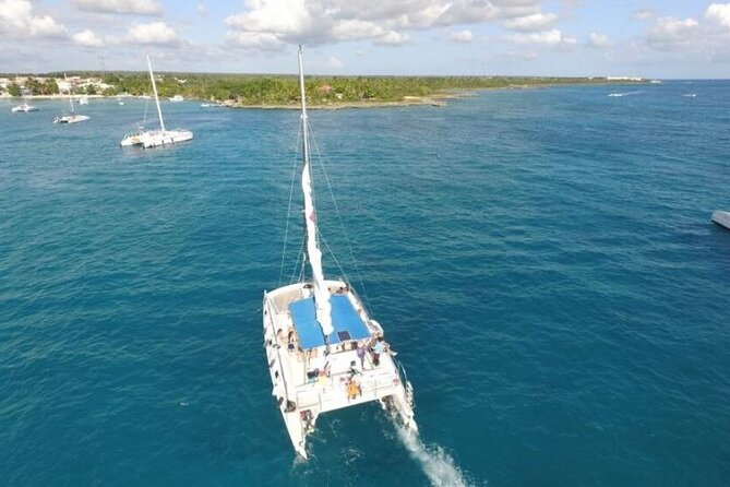 Saona Island Full-Day Excursion - A Detailed Look at the Saona Island Excursion
