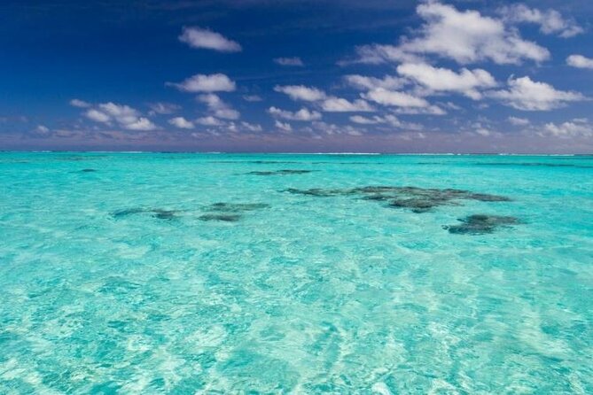 Saona Island Full-Day Excursion - Who Will Love This Tour?