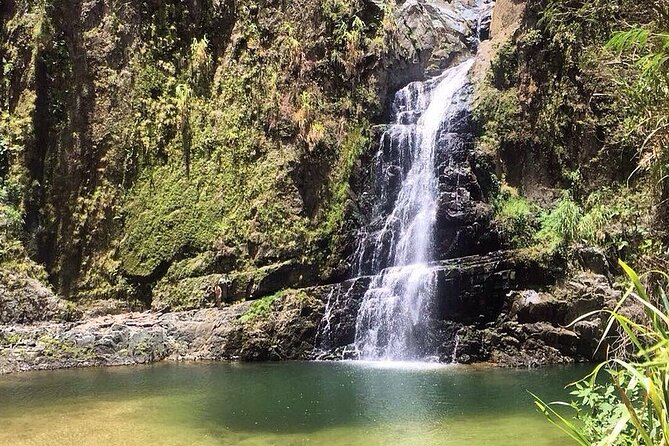 Dreams Flora Resort - Round Trip Shuttle - Punta Cana Airport - Key Points