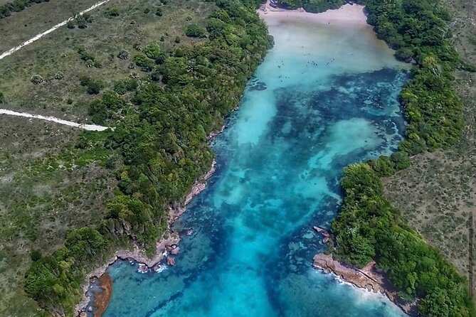 Dreams Flora Resort - Round Trip Shuttle - Punta Cana Airport - The Sum Up: Is It Worth It?