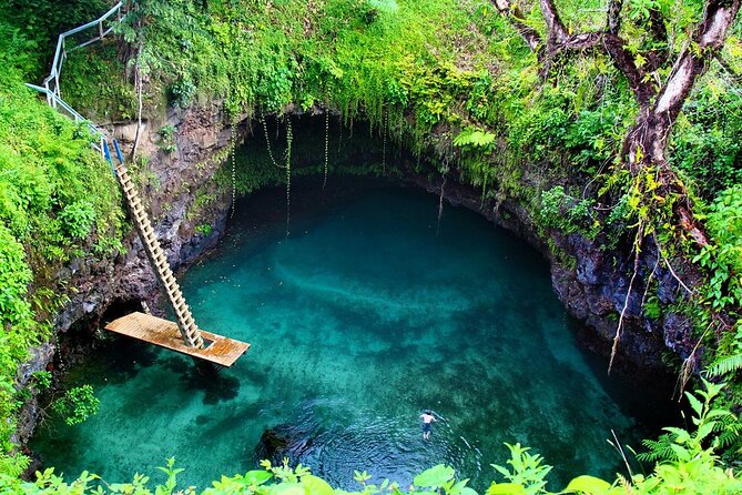 Dreams Flora Resort - Round Trip Shuttle - Punta Cana Airport - Frequently Asked Questions