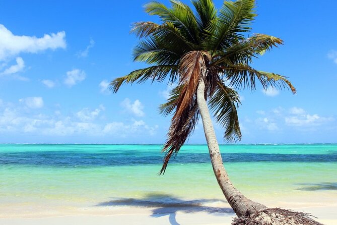 Palladium Punta Cana - Round Trip Shuttle - Punta Cana Airport - Why This Transfer Is Worth Considering