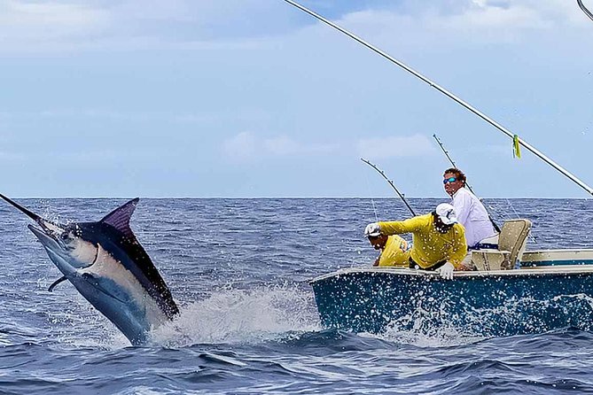 Deep Sea Fishing Half Day - Who Should Consider This Tour?