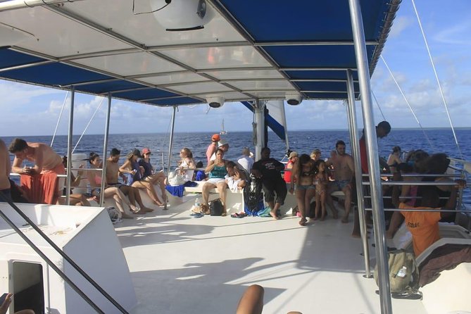 Enjoy an unforgettable catamaran ride with your children. - Practical Details and Value