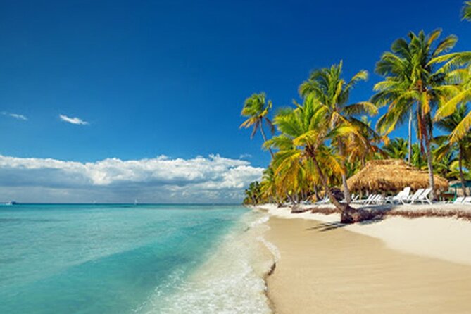 Private Transfer: Punta Cana Airport PUJ to Punta Cana or Bavaro in Van - How the Transfer Works: Step-by-Step