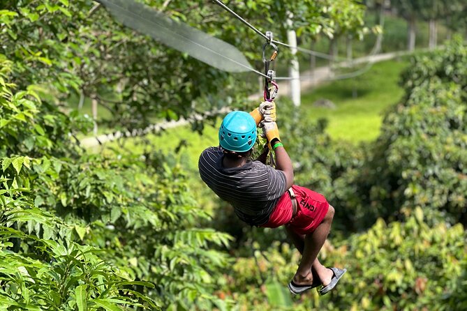 Dominican's 8 hours Trip Zipline, ATV Buggie, Horseback & Safari - A Closer Look at What the Tour Offers