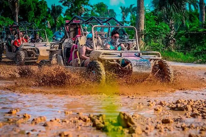 Dominican's 8 hours Trip Zipline, ATV Buggie, Horseback & Safari - Discover the Real Punta Cana with the Dominicans 8-hour Adventure