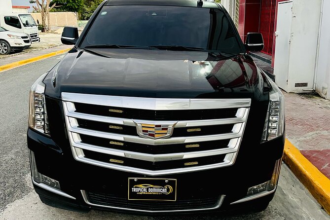 Roundtrip Executive Transfer from Punta Cana Airport (PUJ) - Detailed Look at the Experience