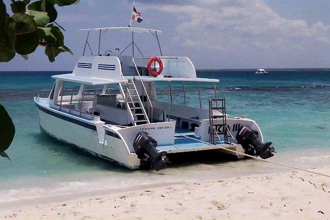 Scuba Diving on Catalina Island | 2 tanks, 2 spots - The Sum Up: Is This Dive Tour Worth It?