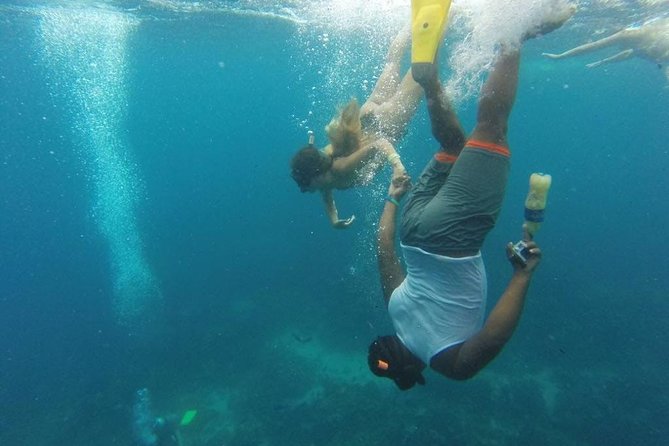 Scuba Diving on Catalina Island | 2 tanks, 2 spots - Practical Details & Tips for Travelers