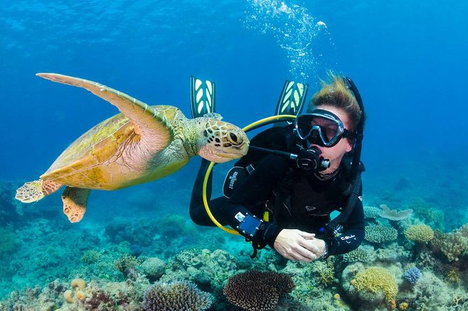 Scuba Diving on Catalina Island | 2 tanks, 2 spots - Exploring the Underwater World of Catalina Island with a 2-Tank Scuba Tour