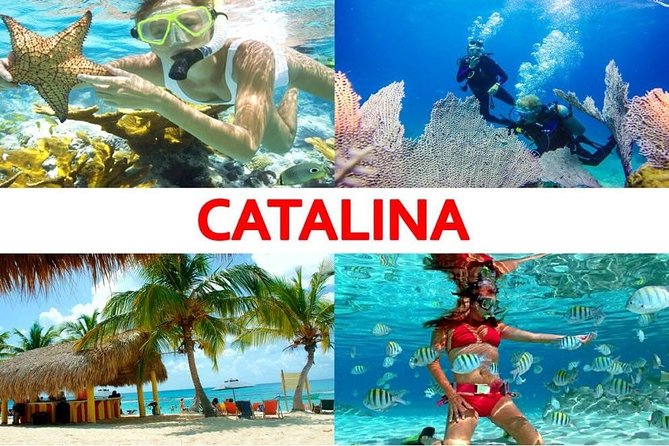 Catalina Island+Snorkeling - In-Depth Look at the Catalina Island + Snorkeling Tour