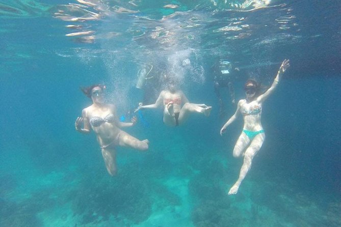 Catalina Island+Snorkeling - Final Thoughts: Is It Worth It?