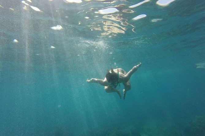 Catalina Island+Snorkeling - FAQ