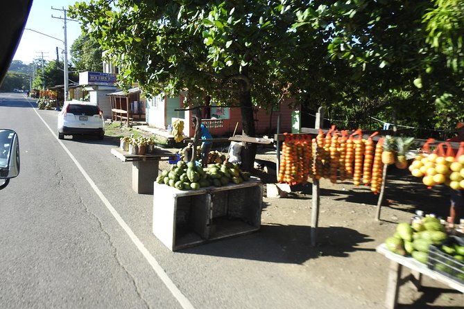 Puerto Plata : Dominican Day Life + Waterfalls of Damajagua (SAFARI FULL DAY) - Exploring the Waterfalls of Damajagua and More