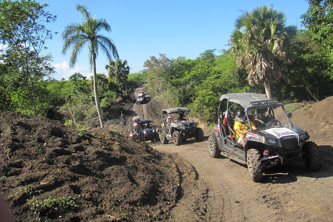 Puerto Plata: Wild & Furious Adventure - Who Will Love This Tour?