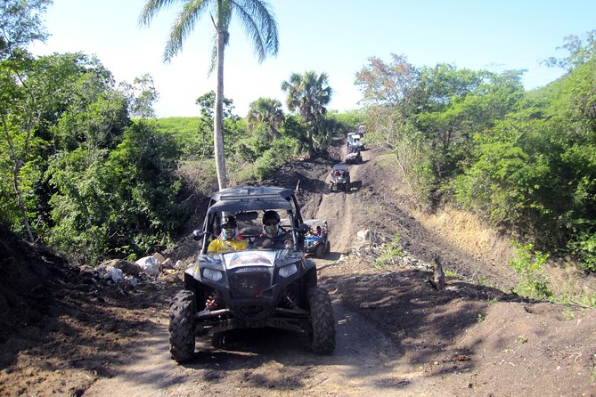 Puerto Plata: Damajagua waterfalls + Horseback riding( TOP2IN1) - What Past Guests Say