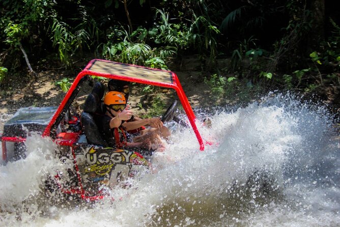 Pop Buggy Excursion from Amber Cove and Taino Bay Puerto Plata - Who Should Consider This Tour?